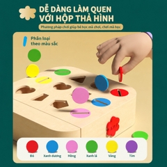 Đồ chơi Montessori phân loại hình khối thả xu 12 ô