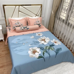 Bộ chăn ga gối phủ chần cotton living Hàn quốc 5 món free size