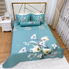 Bộ chăn ga gối phủ chần cotton living Hàn quốc 5 món free size