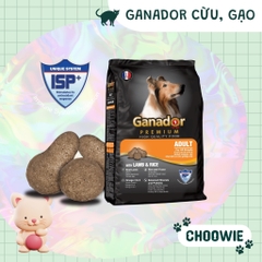 Hạt Ganador dành 400 gr