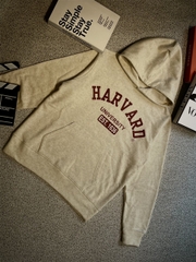 Áo Hoodie unisex form rộng có mũ chất bỉ bông - Be