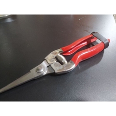 Kéo handmade chuyên cắt tăm tre, que kem gỗ siêu ngọt