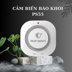 CẢM BIẾN KHÓI KHÔNG DÂY PS55