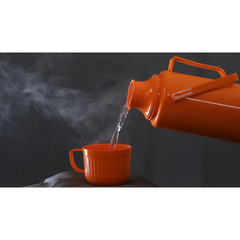 Phích đựng nước nóng dung tích 2L Rạng Đông - Model: RD 2035 N5