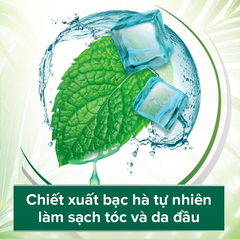 Bộ 2 Dầu gội Palmolive kèm xả 2-trong-1 chiết xuất thiên nhiên 600ML - Dầu Bạc hà