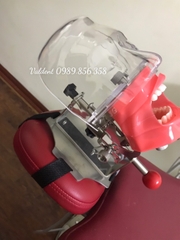 Mô hình thực hành nha khoa gắn ghế răng - Đầu Phantom thực hành nha khoa