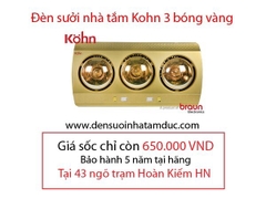 Đèn sưởi nhà tắm Braun Kohn KN03G