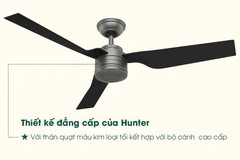 Quạt trần HUNTER CABO FRIO 50638