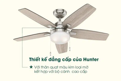 Quạt trần HUNTER ARCOT 50646