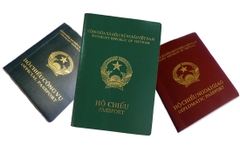 Dịch Vụ ViSa