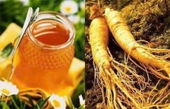 Mật ong nhân sâm Honey Ginseng Tea 580g (20)