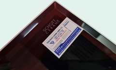 Bếp Từ SPELIER SPE-IC1089