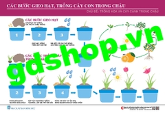 Tranh Quy trình các bước gieo hạt, trồng cây con trong chậu