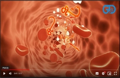 Video về công nghệ tế bào gốc
