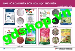 Một số loại phân bón hóa học phổ biến