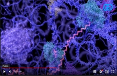 Video về cơ sở khoa học và quy trình công nghệ sản xuất enzyme.