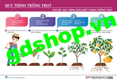 Quy trình trồng trọt