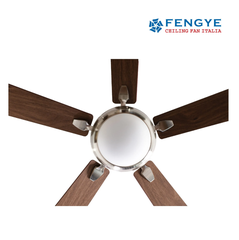 Quạt Trần FY507-BN