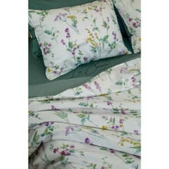 BỘ CHĂN GỐI LỤA MODAL HÀN CAO CẤP LÓT BÔNG 2mx2m2