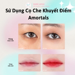 Cọ Che Khuyết Điểm 2 Đầu Amortals Chuyên Dụng Nhỏ Gọn Tiện Lợi Mềm Mịn Không Tì Vết