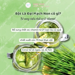 Bột Lá Đại Mạch Non Rau Xanh Và Trái Cây S SELECT Bổ Sung Canxi Chất Xơ Hòa Tan Nhật Bản