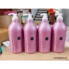 Set Gội - Xả SalonLink Phục Hồi Tóc Hư Tổn 1000ml Nhật Bản