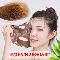Bột Ngũ Hoa Hạt Nguyên Chất Obaxua Ngăn Mụn Kiềm Dầu Sáng Da 75G - HẠT TO