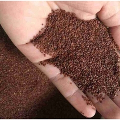 Bột Ngũ Hoa Hạt Nguyên Chất Obaxua Ngăn Mụn Kiềm Dầu Sáng Da 75G - HẠT TO