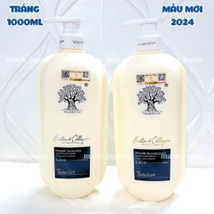 Set Dầu Gội Xả Biotin Collagen Giảm Rụng Phục Hồi Tóc Hư Tổn