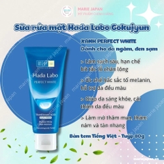 Sữa rửa mặt Hada Labo Gokujyun Nhật Bản