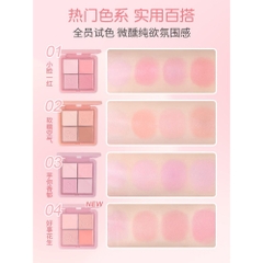 Bảng Phấn Má 4 Ô Hold Live Kết Hợp Dạng Phấn & Kem Tiện Lợi Màu Xinh Xắn Mịn Lâu Trôi Không Thấm Nước Chance On HL707