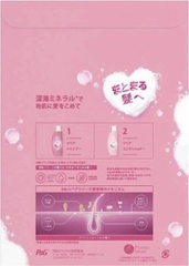 Dầu gội - xả HS (màu hồng trị gàu cho da đầu nhờn giúp phục hồi hư tổn) - 350mL + 350g