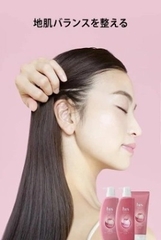 Dầu gội - xả HS (màu hồng trị gàu cho da đầu nhờn giúp phục hồi hư tổn) - 350mL + 350g