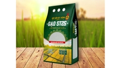 Gạo Vinaseed ST25 túi 5kg, Gạo ngon giống chuẩn