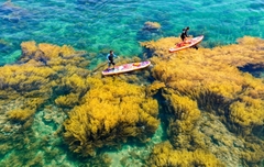 CHƯƠNG TRÌNH THĂM QUAN HÀ NỘI – QUY NHƠN – TUY HÒA – QUY NHƠN – HÀ NỘI