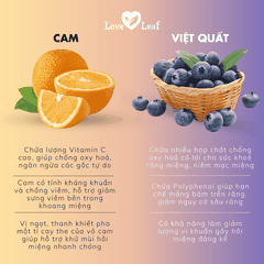 Chai Xịt Thơm Miệng Love Leaf Hương Cam - Việt Quất Khoảnh Khắc Thư Giãn, Chai 8gr