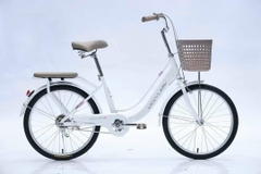 Xe đạp mini Vicky V22