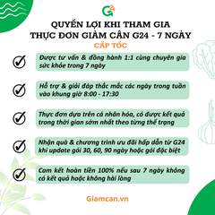 Thực đơn giảm cân Gói G1 (7 ngày)