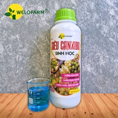 Siêu Canxi - Bo Sinh Học