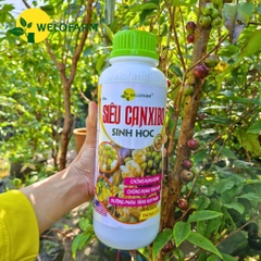 Siêu Canxi - Bo Sinh Học