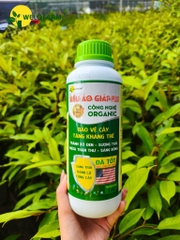 PLUS SIÊU ÁO GIÁP