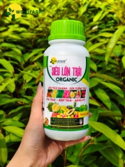 Siêu Lớn Trái USA