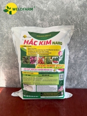 Hắc Kim Nano