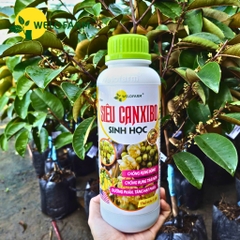 Siêu Canxi - Bo Sinh Học