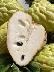 Na Thái (Hoàng Hậu)