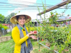 Lựu Đỏ Ấn Độ