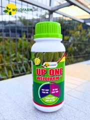 Up One Nano Welofarm