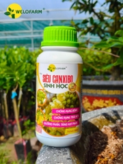 Siêu Canxi - Bo Sinh Học