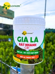 Già Lá Rất Nhanh
