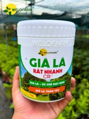 Già Lá Rất Nhanh